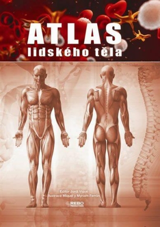 Atlas lidského těla - Jordi Vigué